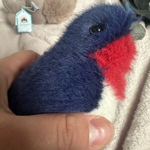 Blue and Red Plush Bird Jellycat
